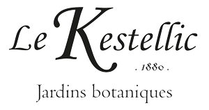 Kestellic